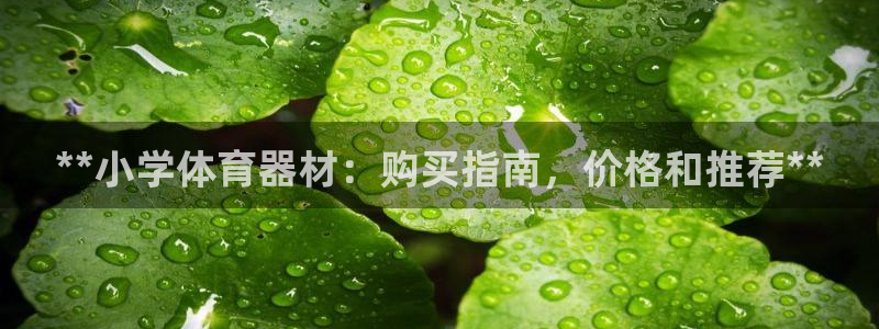 极悦平台登录不进去怎么回事呀：**小学体育器材：购买指南，价