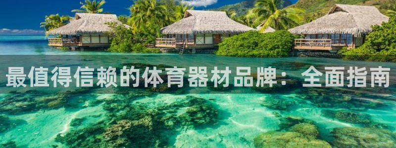 极悦娱乐股东结构：最值得信赖的体育器材品牌：全面指南