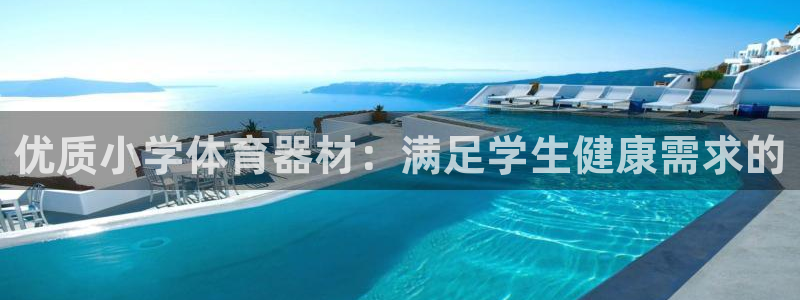 极悦平台是干什么的啊：优质小学体育器材：满足学生健康