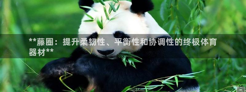 极悦平台注册流程详解：**藤圈：提升柔韧性、平衡性和