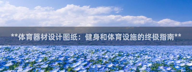 极悦平台官网登录：**体育器材设计图纸：健身和体育设