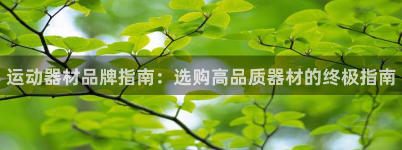 极悦平台官网登录不了怎么办：运动器材品牌指南：选购高
