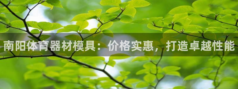 极悦娱乐的创始人背景故事是什么：南阳体育器材模具：价