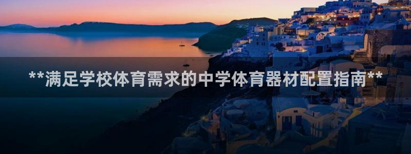 极悦官方网站：**满足学校体育需求的中学体育器材配置指南**