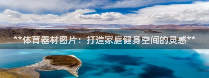 极悦平台和蓝狮平台区别在哪：**体育器材图片：打造家