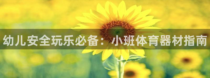 极悦平台客服的联系方式是多少：幼儿安全玩乐必备：小班