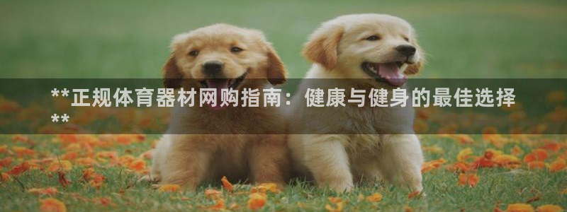 极悦娱乐是资金盘吗：**正规体育器材网购指南：健康与