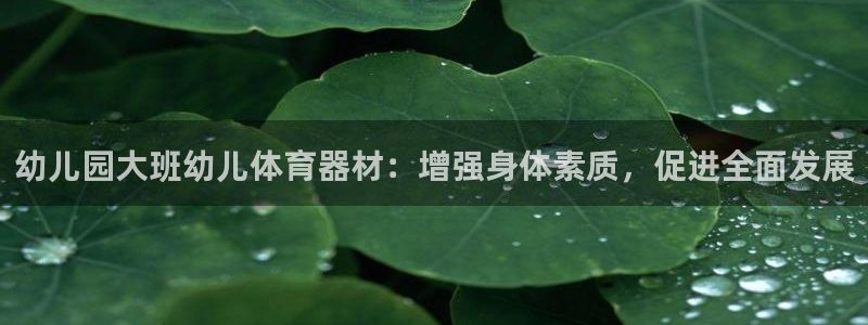 极悦官网下载最新版本更新内容：幼儿园大班幼儿体育器材