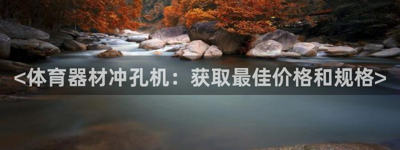 极悦平台注册流程详解图片：<体育器材冲孔机：获取最佳