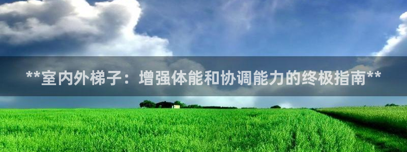 极悦平台客服投诉电话是多少啊：**室内外梯子：增强体能和协调