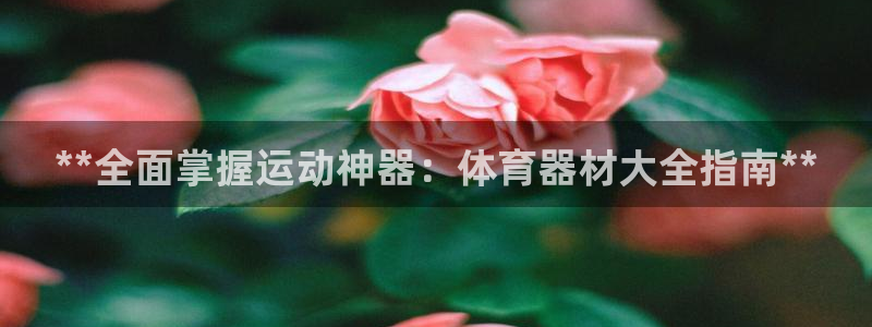 极悦娱乐官网入口下载：**全面掌握运动神器：体育器材