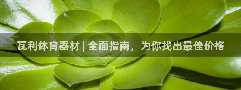 极悦平台注册用户名验证不了：瓦利体育器材 | 全面指
