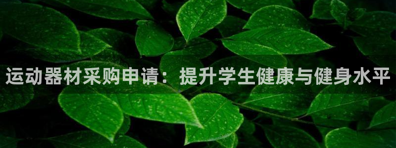 极悦娱乐登录拒绝访问怎么办理：运动器材采购申请：提升