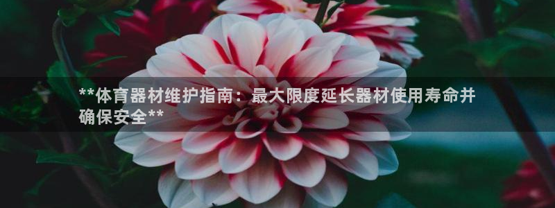极悦平台登录方式是什么：**体育器材维护指南：最大限