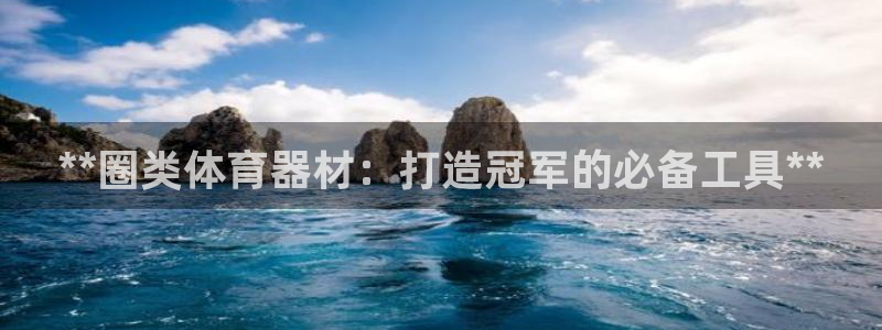 极悦官方网站入口网址：**圈类体育器材：打造冠军的必