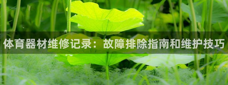 极悦平台登录不进去怎么回事儿：体育器材维修记录：故障