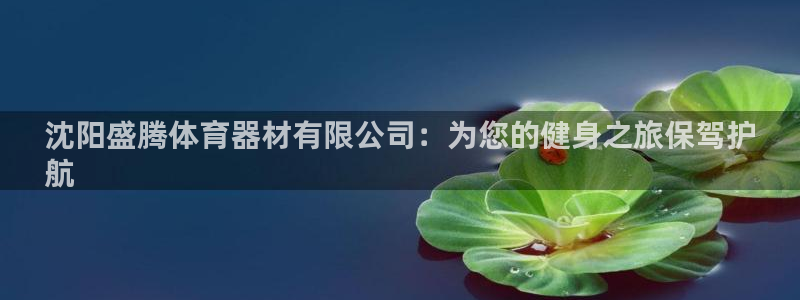 极悦平台用户评价与反馈：沈阳盛腾体育器材有限公司：为您的健身
