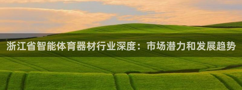 极悦娱乐代理多少钱一年：浙江省智能体育器材行业深度：