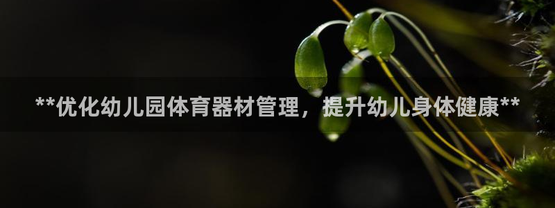 极悦平台是干什么的：**优化幼儿园体育器材管理，提升