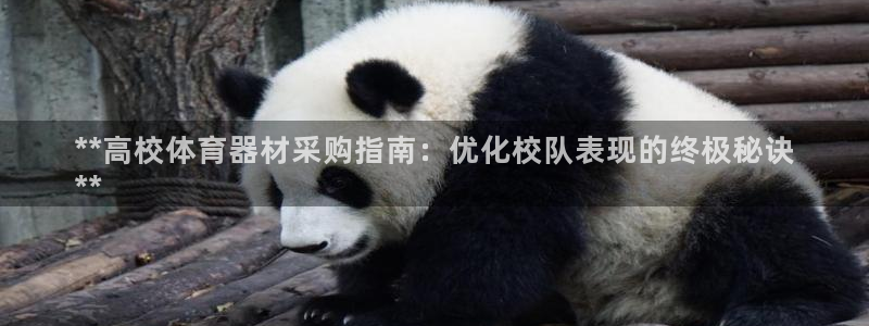 极悦平台官网登录入口手机版：**高校体育器材采购指南