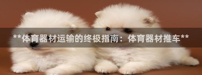 极悦平台官方网站入口网址：**体育器材运输的终极指南