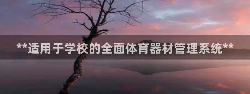 极悦娱乐下载官网：**适用于学校的全面体育器材管理系