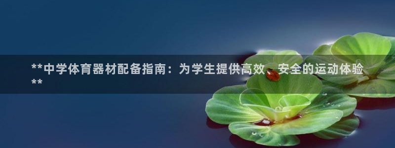 极悦平台安全吗可信吗：**中学体育器材配备指南：为学