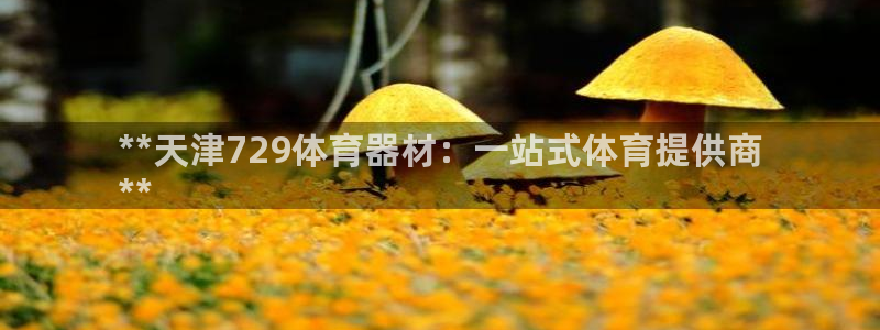极悦官网入口登录网址：**天津729体育器材：一站式体育提供