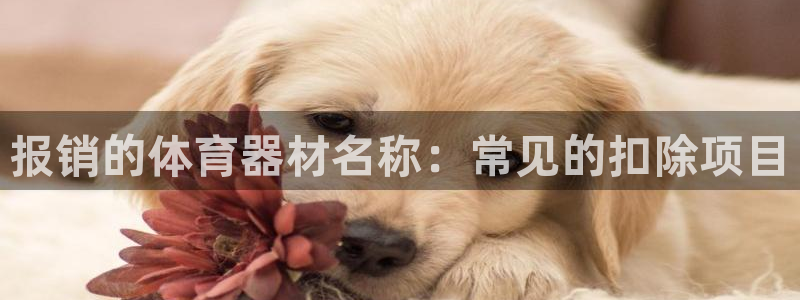 极悦娱乐官方网站首页：报销的体育器材名称：常见的扣除项目