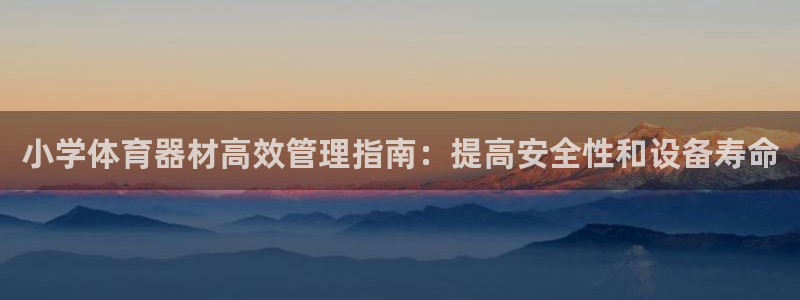 极悦平台：小学体育器材高效管理指南：提高安全性和设备