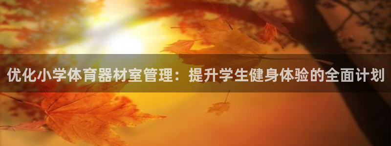 极悦平台注册官网下载：优化小学体育器材室管理：提升学