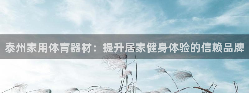 极悦平台注册资金多少：泰州家用体育器材：提升居家健身