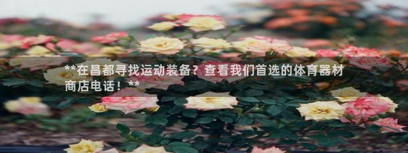 极悦娱乐负责人电话：**在昌都寻找运动装备？查看我们