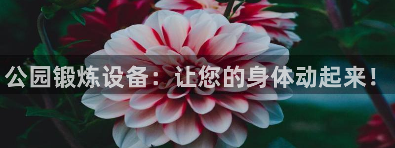 极悦平台注册：公园锻炼设备：让您的身体动起来！