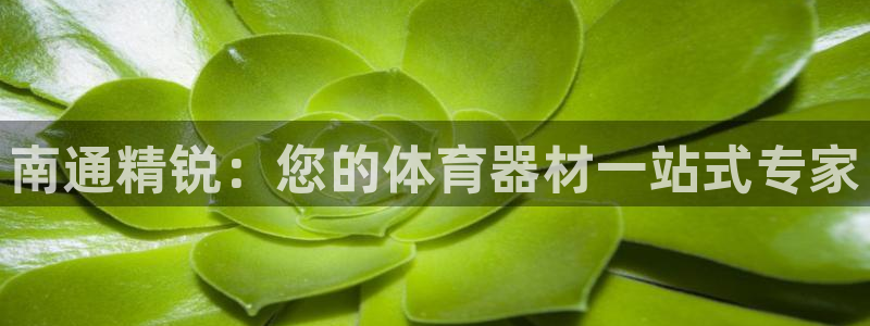极悦平台app安全吗是真的吗：南通精锐：您的体育器材