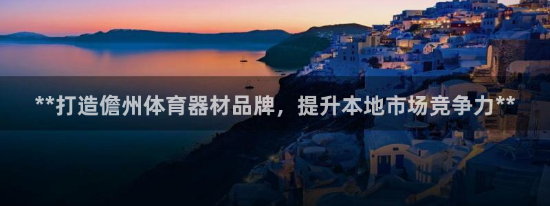 极悦平台安全吗是真的吗：**打造儋州体育器材品牌，提