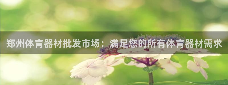极悦平台官方网站登录网址：郑州体育器材批发市场：满足