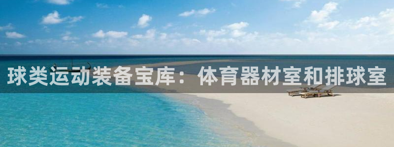 极悦平台用户反馈和反馈一样吗：球类运动装备宝库：体育