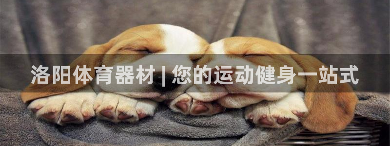 极悦娱乐登录拒绝访问怎么办：洛阳体育器材 | 您的运
