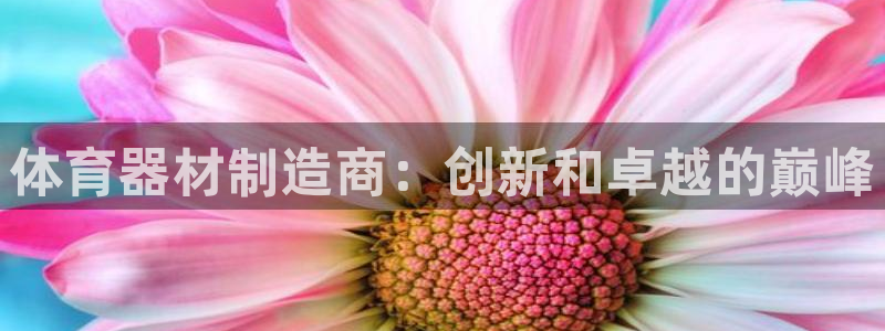 极悦平台注册官方网站下载安卓版：体育器材制造商：创新和卓越的