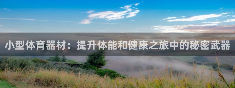 极悦平台登录方式有哪些：小型体育器材：提升体能和健康