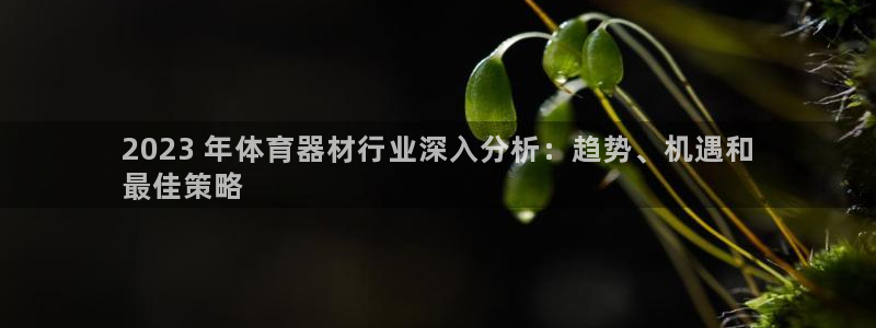 极悦娱乐的创始人背景故事是什么：2023 年体育器材行业深入