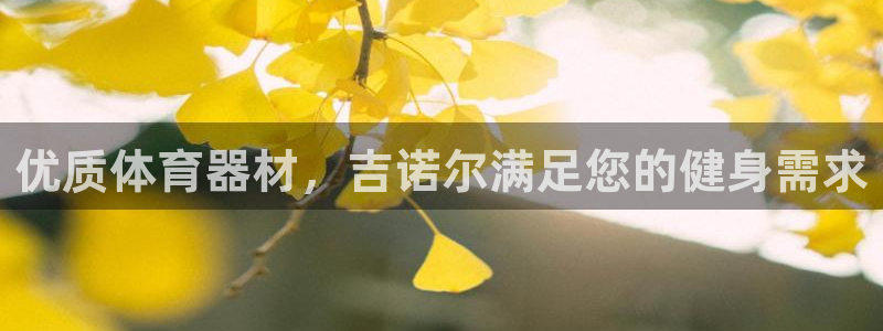 极悦平台下载安装：优质体育器材，吉诺尔满足您的健身需求