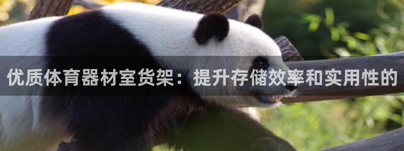 极悦平台官方网站入口网址：优质体育器材室货架：提升存