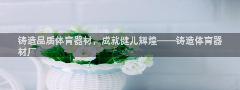 极悦平台官网登录网址是什么：铸造品质体育器材，成就健