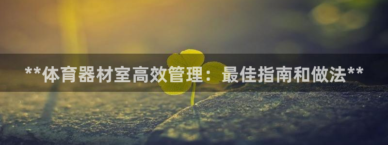 极悦娱乐的创始人背景故事介绍：**体育器材室高效管理