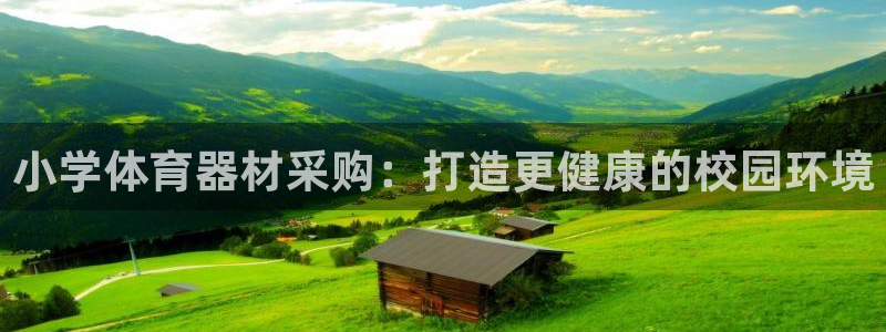 极悦平台注册用户名生成器下载：小学体育器材采购：打造