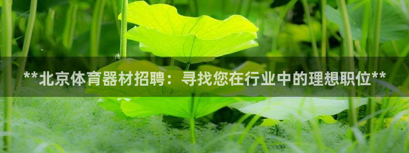 加盟极悦教育要多少钱：**北京体育器材招聘：寻找您在