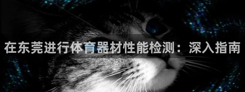 极悦娱乐现在叫什么：在东莞进行体育器材性能检测：深入