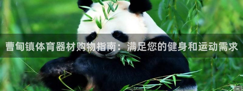 极悦平台官网入口下载：曹甸镇体育器材购物指南：满足您的健身和